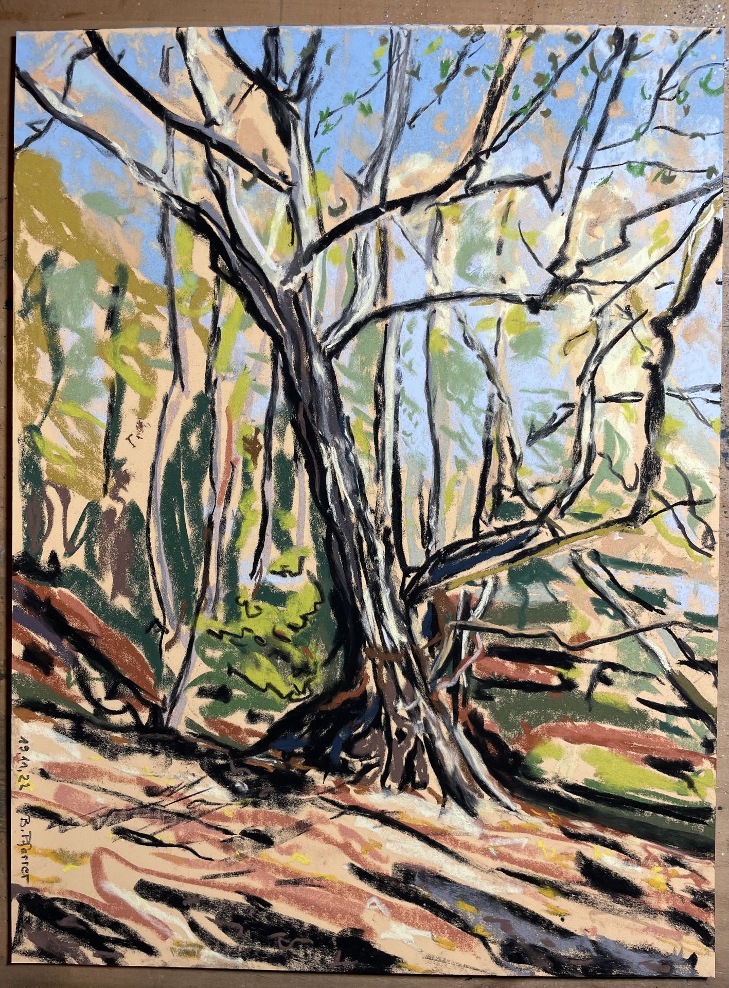 Der mächtige Baum bei Haithabu