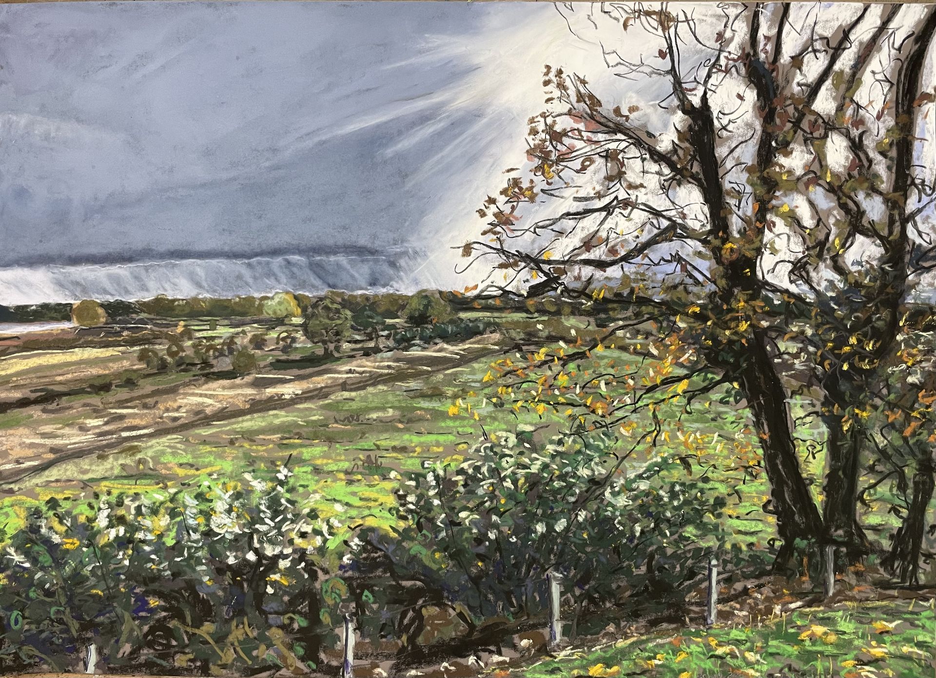 Haitabu, die Sonne kommt raus